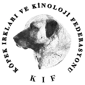 Kif